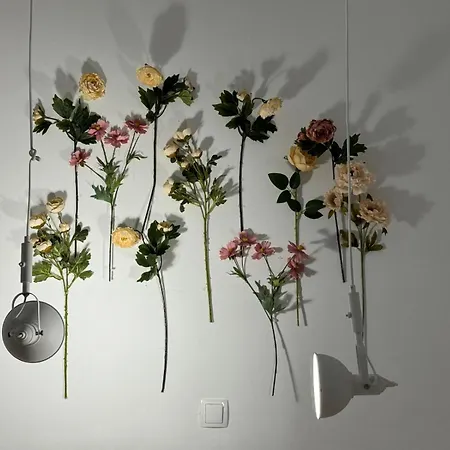 Perla Alba Appartamento *