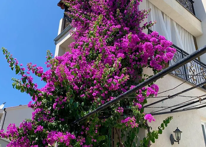 Perla Alba Tribunj (Sibenik-Knin)